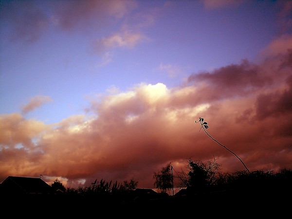 Rolling Skies.....