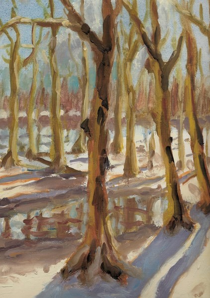 Park in the winter