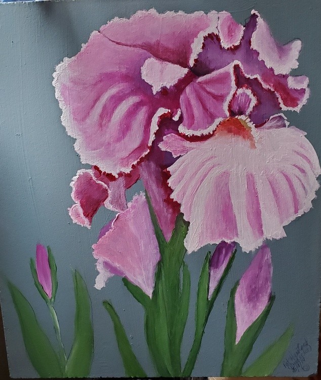 Iris on wood