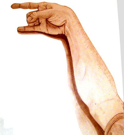 Adjusted Arm