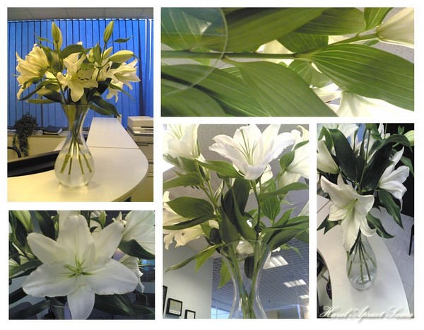 Beauty in the Office