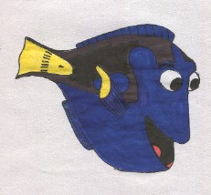 Felt-tip Dory
