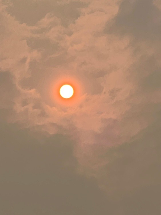 Canada Sun Pt 2
