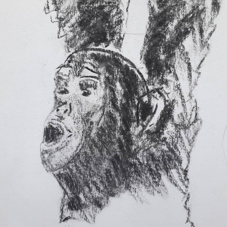 A monkey