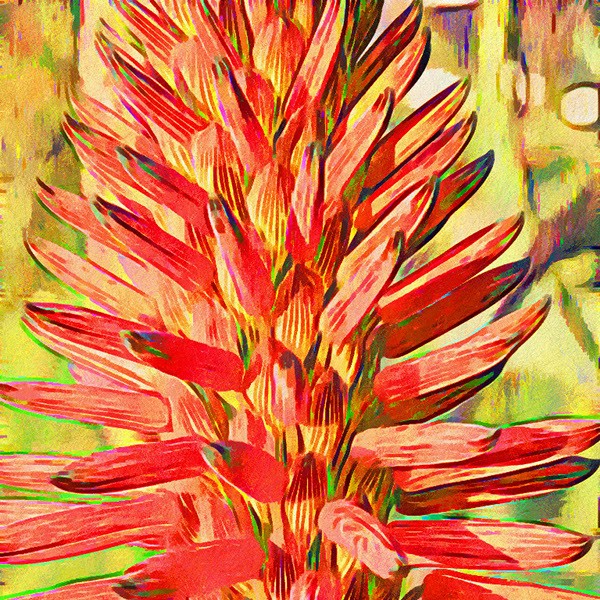 Torch Lilly