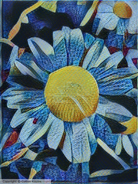 Lone Blossom