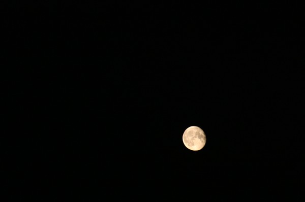 May Moon