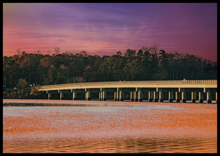 The Bridge
