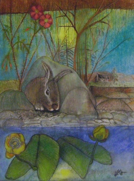 RABBIT SEEKS ADVISE