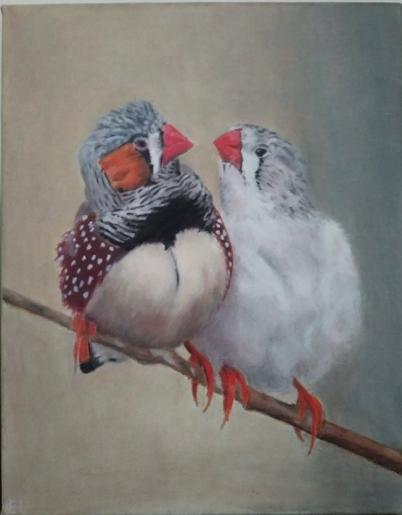 Lovebirds
