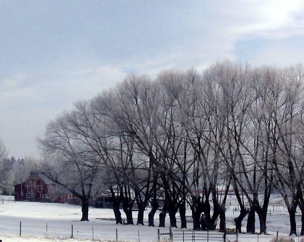 Winter Farm