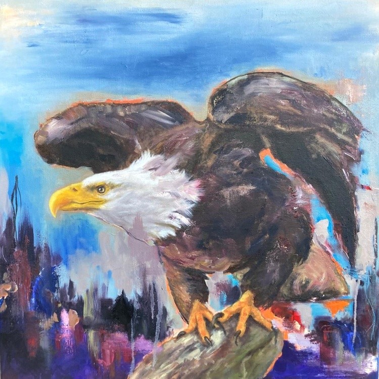 Bald Eagle