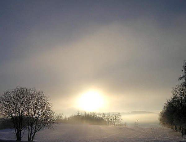 Winter sun and foge