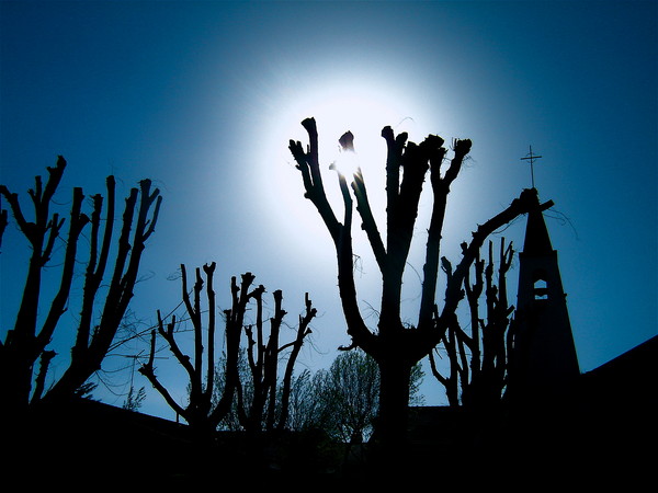 Ressurection Day