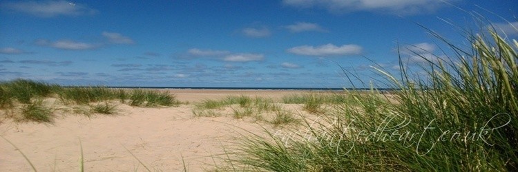 Beach Panoramic View