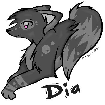 Dia, my lupess