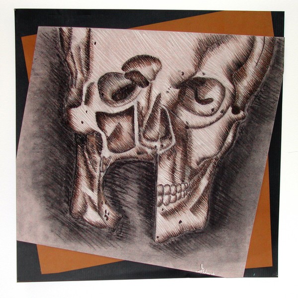 skull