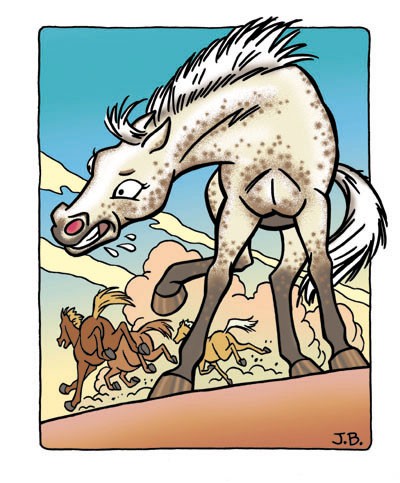Mean Filly