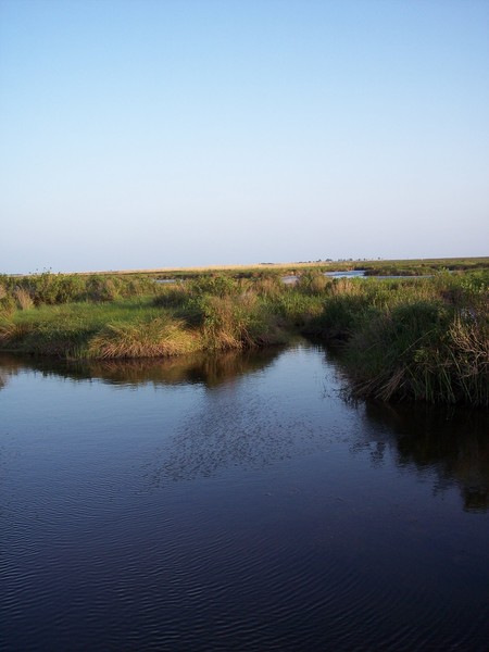 SouthEast Texas Marsh