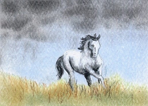 Outrunning the Storm