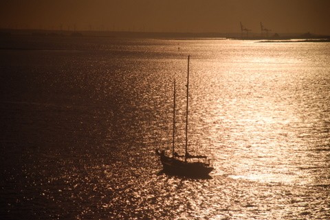 Bronze Waters