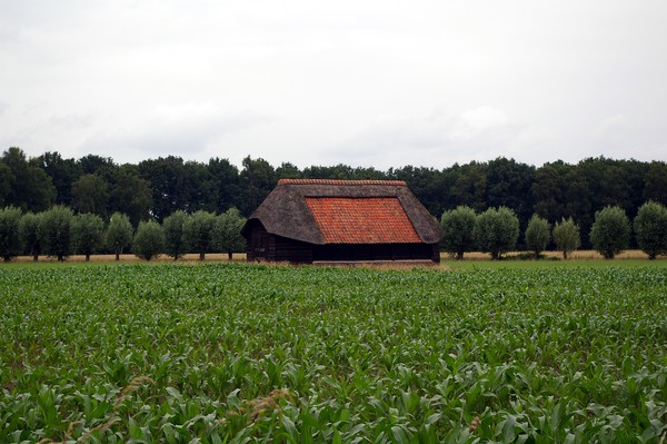 MEMORY AT  HOLLAND.