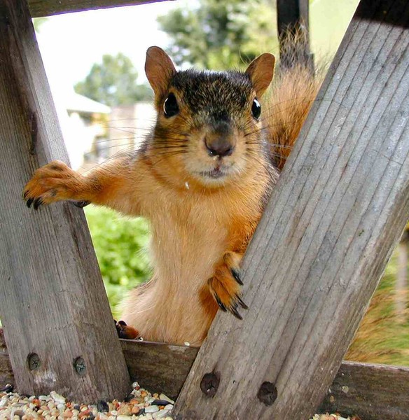Caught in the act!