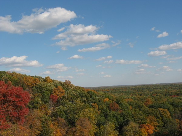 Brown Cty. in the FAll