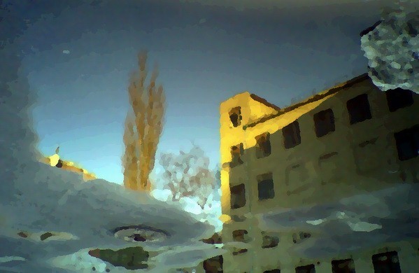 Tree. House. Puddle.