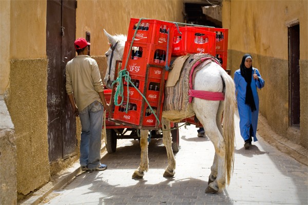 Coca Cola, Fes, Morocco