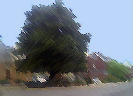 Neighborhood6