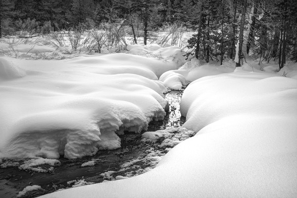 wagner snowstream 2775