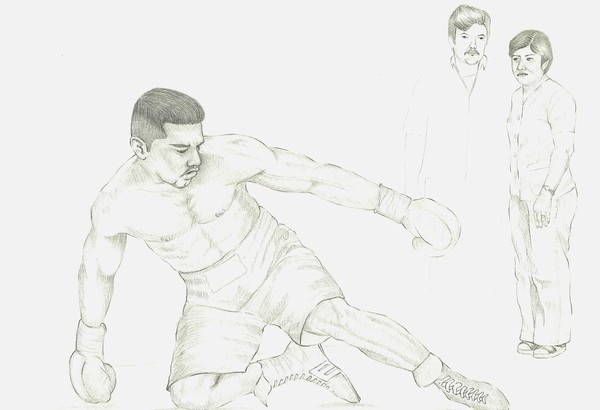 The Boxer