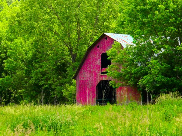 Old Kentucky Barn