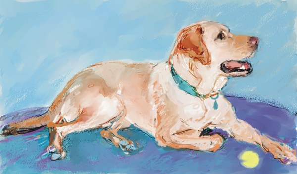 Mary's Dog