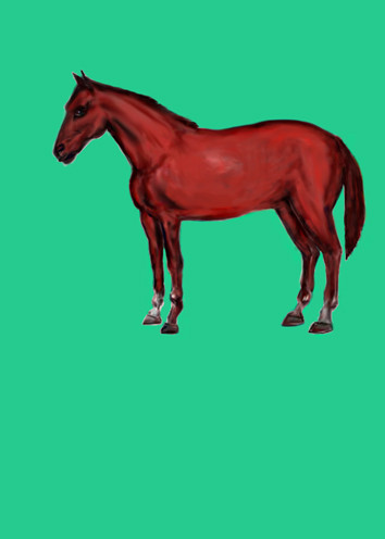 horse