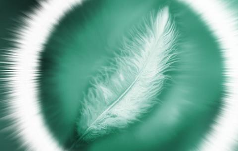 Featherthing