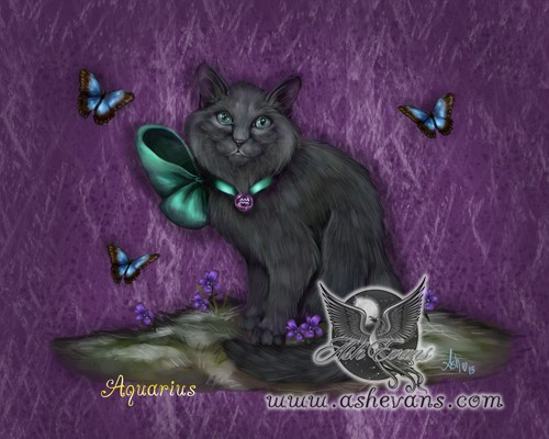 Aquarius the Zodicat