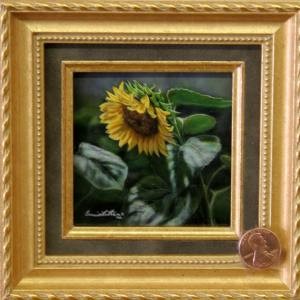Late Summers Gold - Sunflower