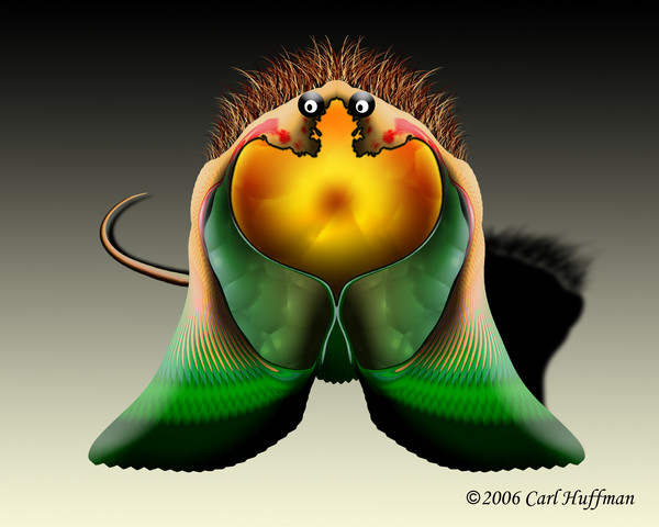 Hairy Bug