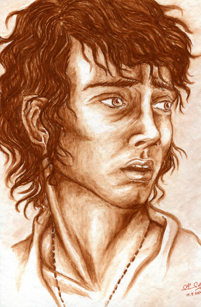 Frodo Distressed