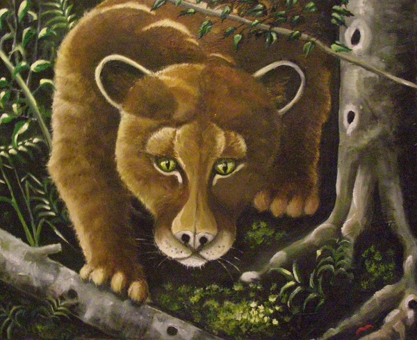 Mountain Lion