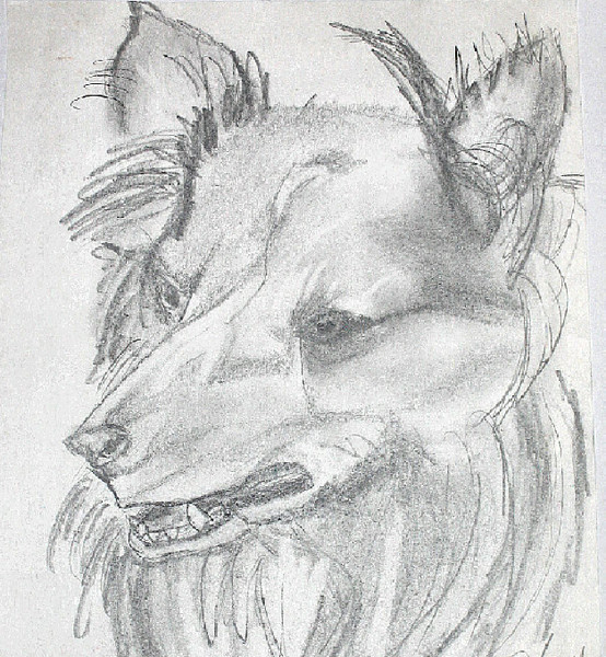My Doggie