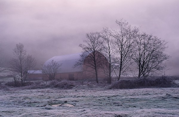 Frosty Morning on Hatzic Prairie