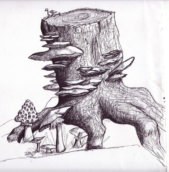 Trunk and mushrooms