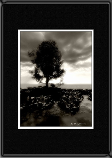 Irllyl in B&W