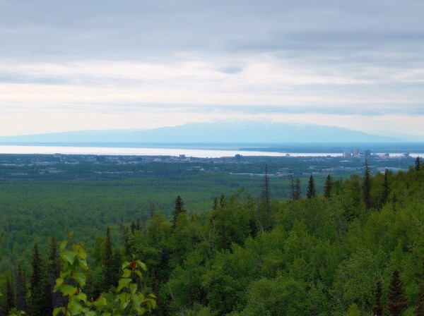 Anchorage from Above