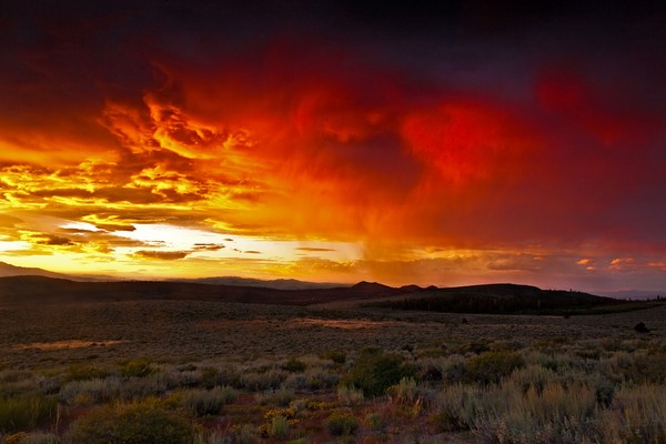Golden Storm Clouds