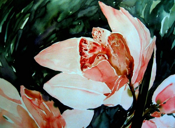 orchid