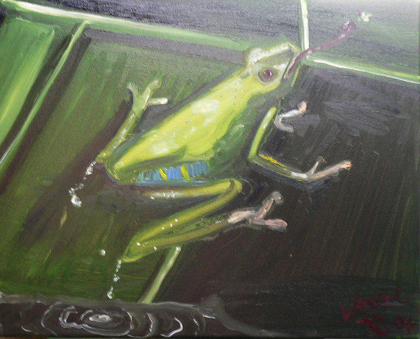frog on a leaf